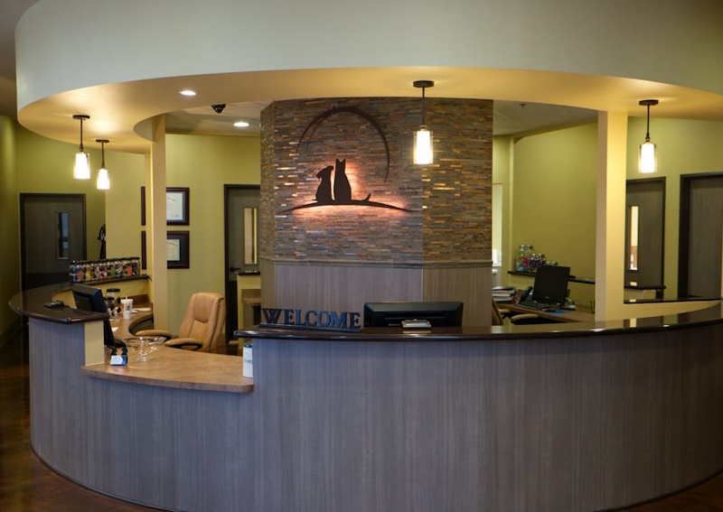 Carousel Slide 6: AAHA Accredited