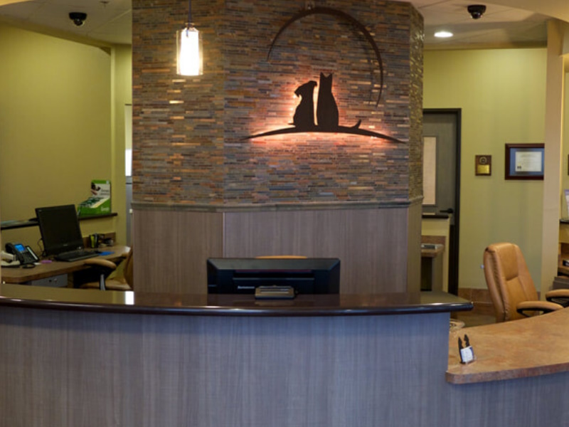 Phillips Creek Veterinary Hospital Frisco Pet Hospital