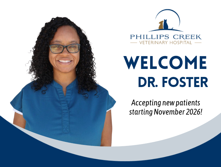 Meet Dr. Foster!